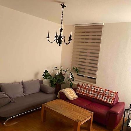 Schone Altbauwohnung Mit Grun In Ruhiger Lage Leipzig Exterior photo